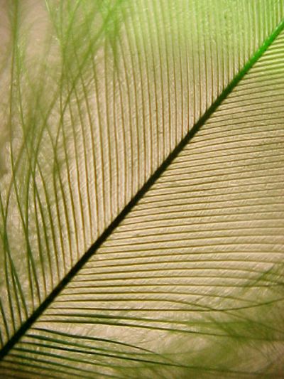 sxu(hoja) 10493_2472